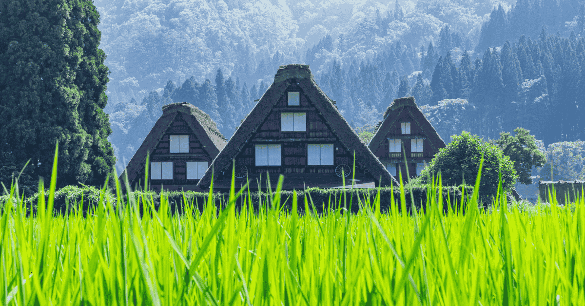 Tour com Guia Brasileiro em Shirakawa-go